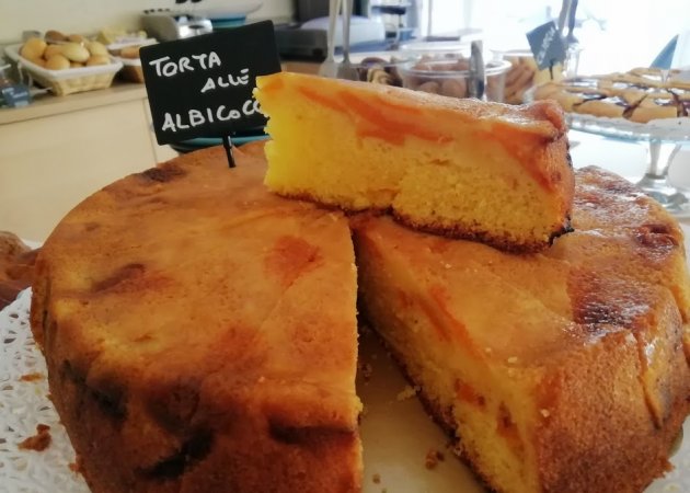 Torta di albicocche fresche!