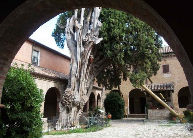 Verucchio e il Cipresso di San Francesco