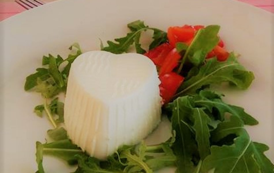 La Ricotta e lo Squacquerone D.O.P La Ricotta e lo Squacquerone D.O.P