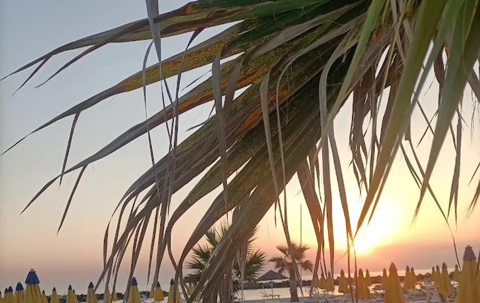 Juillet magique! Juillet magique!